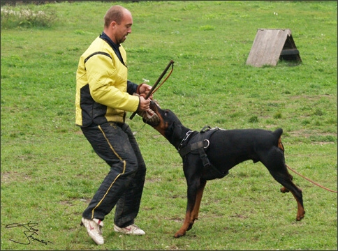 Training in Prague 10/2007